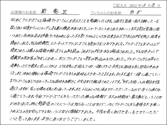 シェットランドシープドッグお客様の声