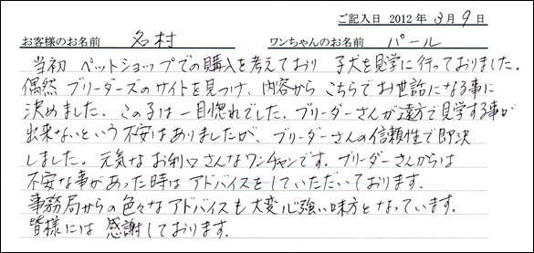 シェットランドシープドッグお客様の声