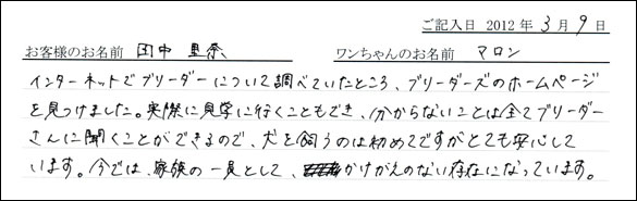 シェットランドシープドッグお客様の声