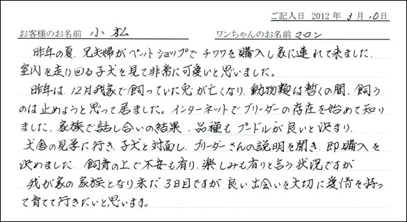 シェットランドシープドッグお客様の声