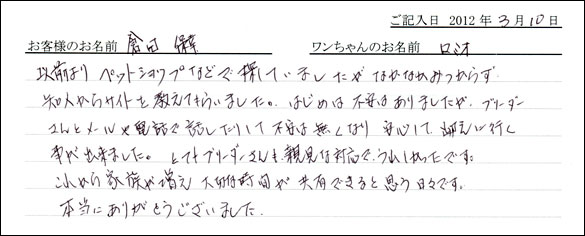 シェットランドシープドッグお客様の声