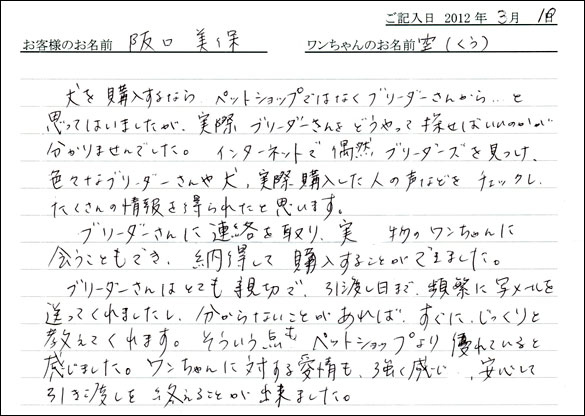 シェットランドシープドッグお客様の声