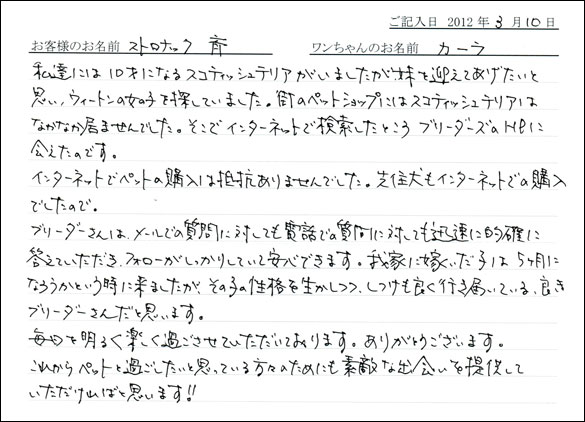 シェットランドシープドッグお客様の声
