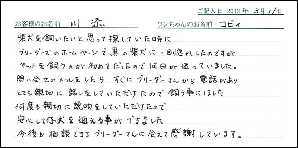 シェットランドシープドッグお客様の声
