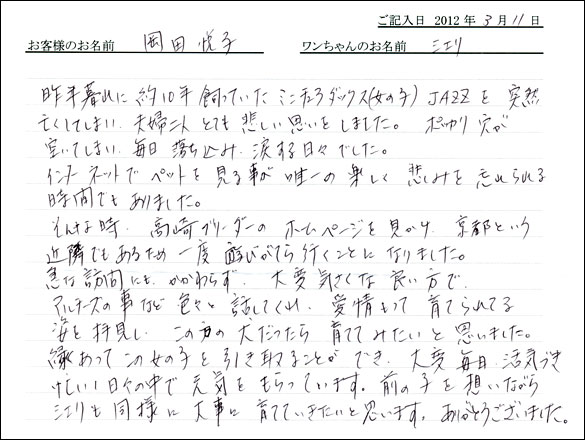 シェットランドシープドッグお客様の声