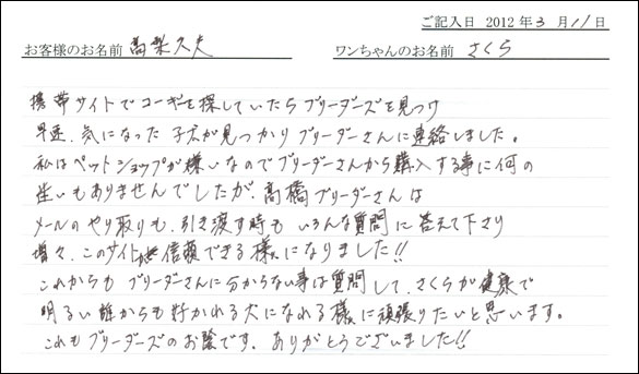 シェットランドシープドッグお客様の声