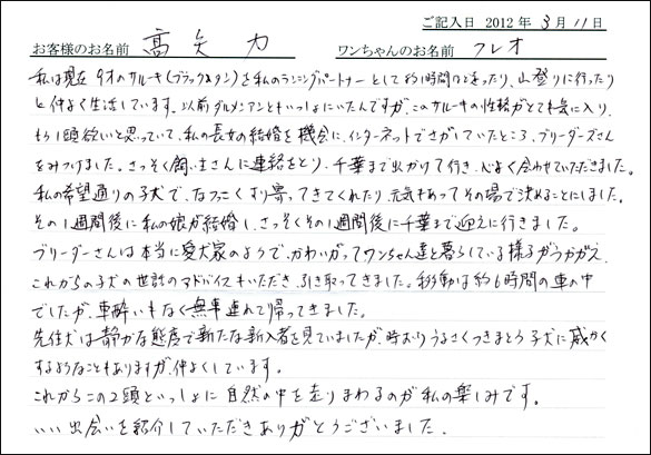 シェットランドシープドッグお客様の声