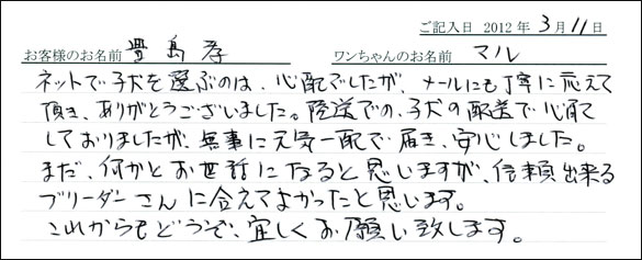 シェットランドシープドッグお客様の声