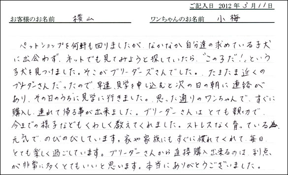 シェットランドシープドッグお客様の声