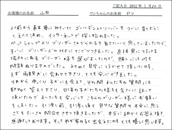 シェットランドシープドッグお客様の声