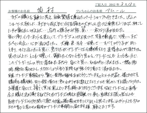 シェットランドシープドッグお客様の声
