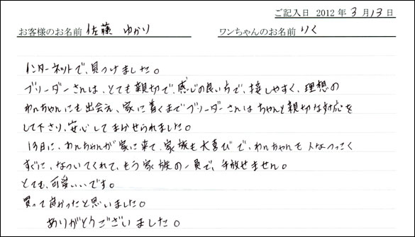 シェットランドシープドッグお客様の声
