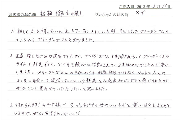 シェットランドシープドッグお客様の声