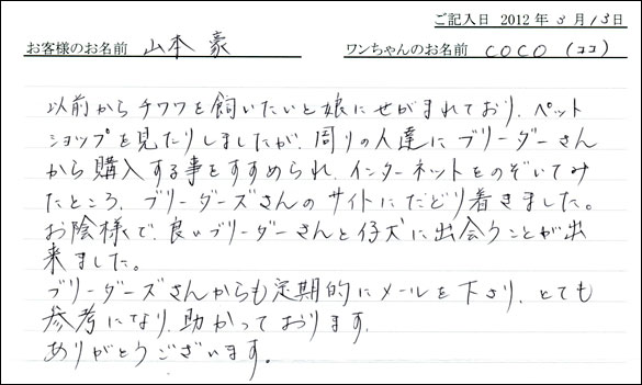 シェットランドシープドッグお客様の声
