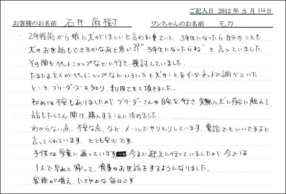 シェットランドシープドッグお客様の声