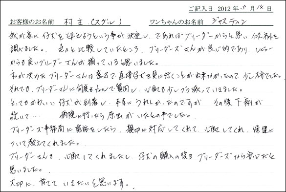 シェットランドシープドッグお客様の声