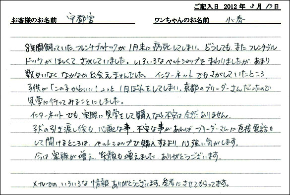 シェットランドシープドッグお客様の声