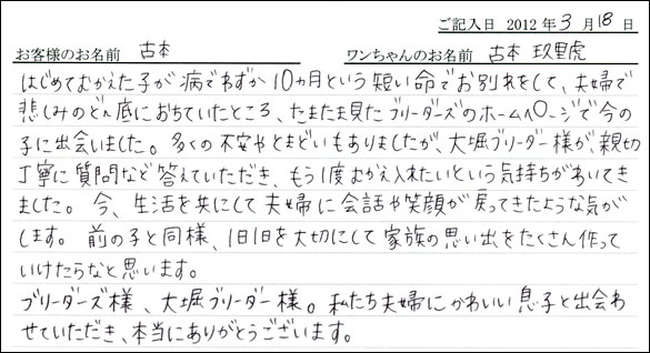 シェットランドシープドッグお客様の声