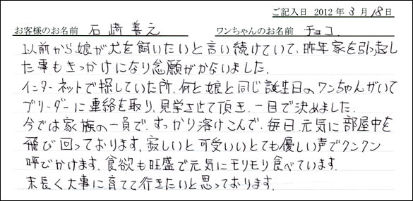 シェットランドシープドッグお客様の声