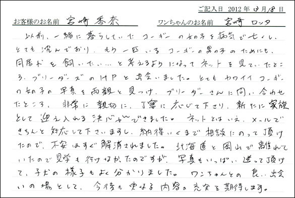 シェットランドシープドッグお客様の声