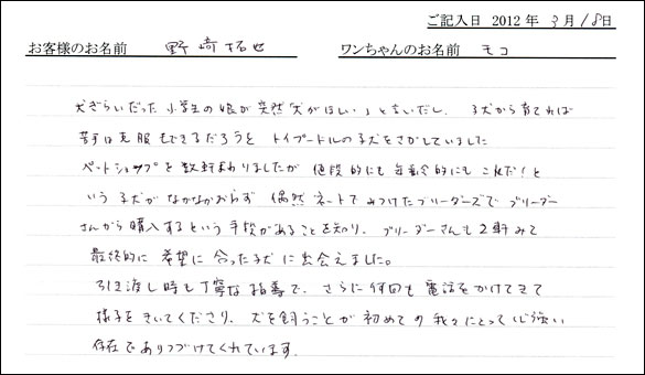 シェットランドシープドッグお客様の声