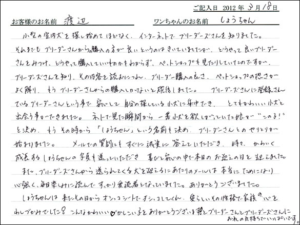シェットランドシープドッグお客様の声