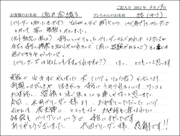 シェットランドシープドッグお客様の声
