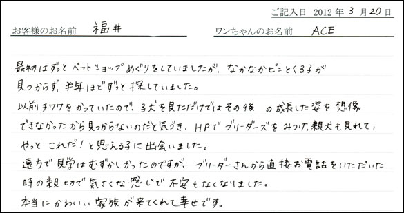 シェットランドシープドッグお客様の声