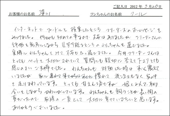 シェットランドシープドッグお客様の声