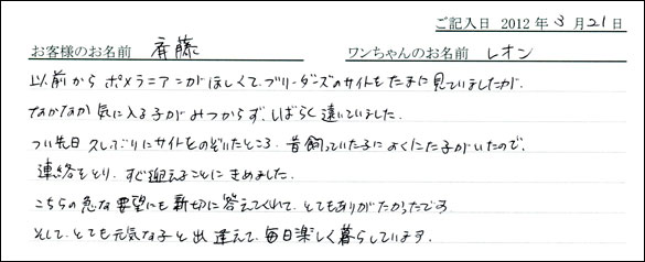 シェットランドシープドッグお客様の声