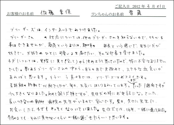 シェットランドシープドッグお客様の声