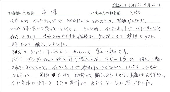 シェットランドシープドッグお客様の声
