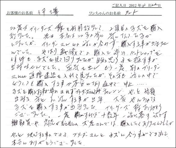 シェットランドシープドッグお客様の声