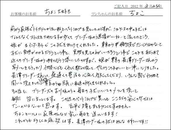 シェットランドシープドッグお客様の声