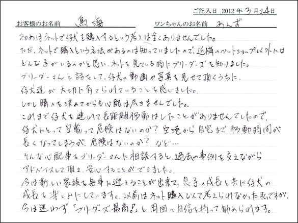 シェットランドシープドッグお客様の声