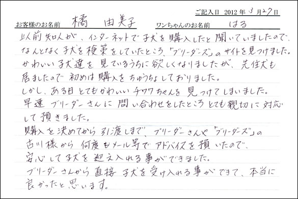 シェットランドシープドッグお客様の声