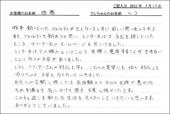 シェットランドシープドッグお客様の声