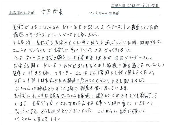 シェットランドシープドッグお客様の声