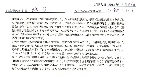 シェットランドシープドッグお客様の声