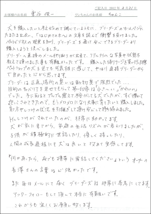 シェットランドシープドッグお客様の声