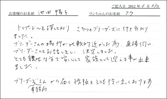シェットランドシープドッグお客様の声