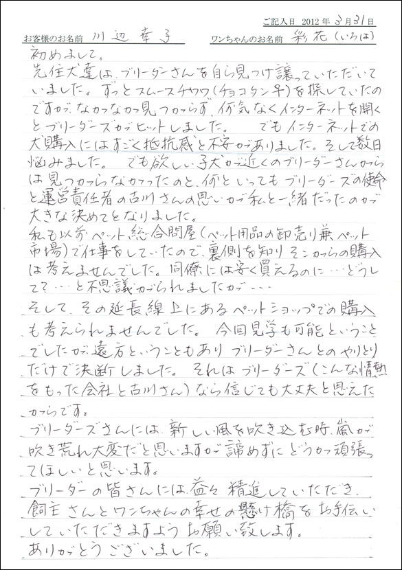 シェットランドシープドッグお客様の声