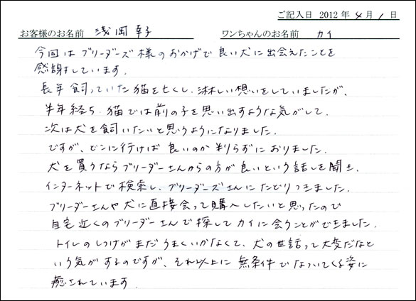 シェットランドシープドッグお客様の声