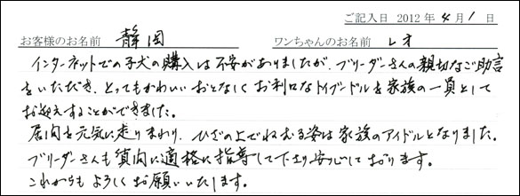 シェットランドシープドッグお客様の声