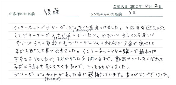 シェットランドシープドッグお客様の声