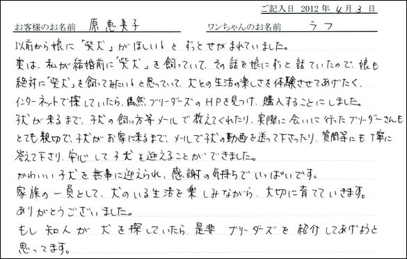 シェットランドシープドッグお客様の声