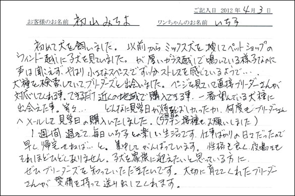 シェットランドシープドッグお客様の声
