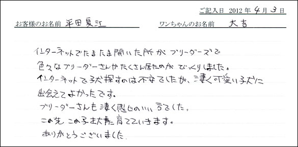 シェットランドシープドッグお客様の声