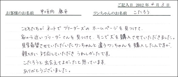 シェットランドシープドッグお客様の声