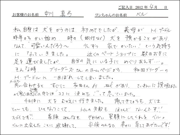 シェットランドシープドッグお客様の声